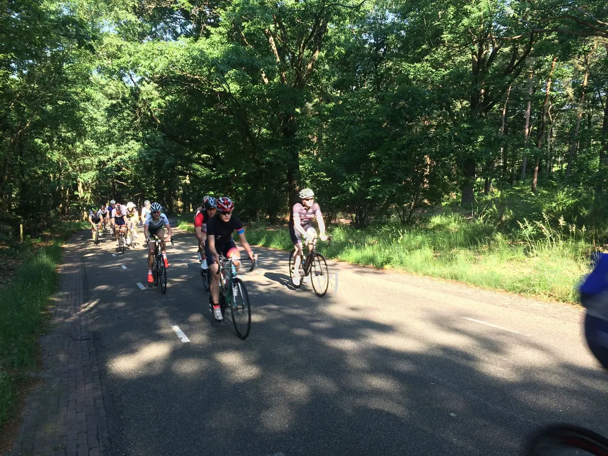 Wielrenners rijden samen door een zonnig bos